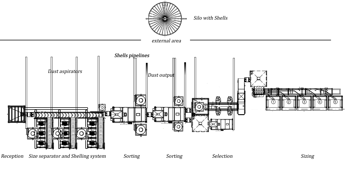 almond process flow